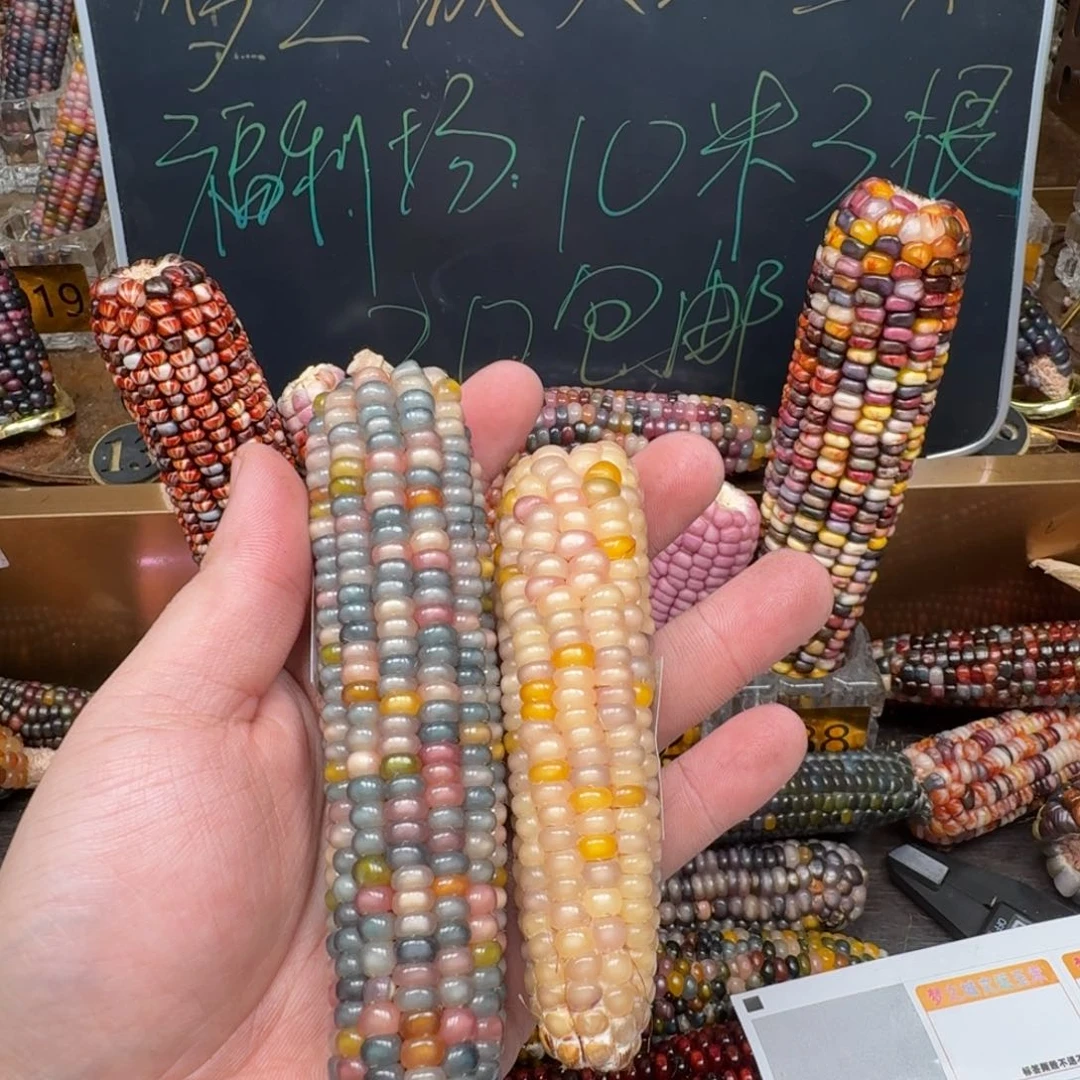 柏香籽/百香籽吊坠知*.