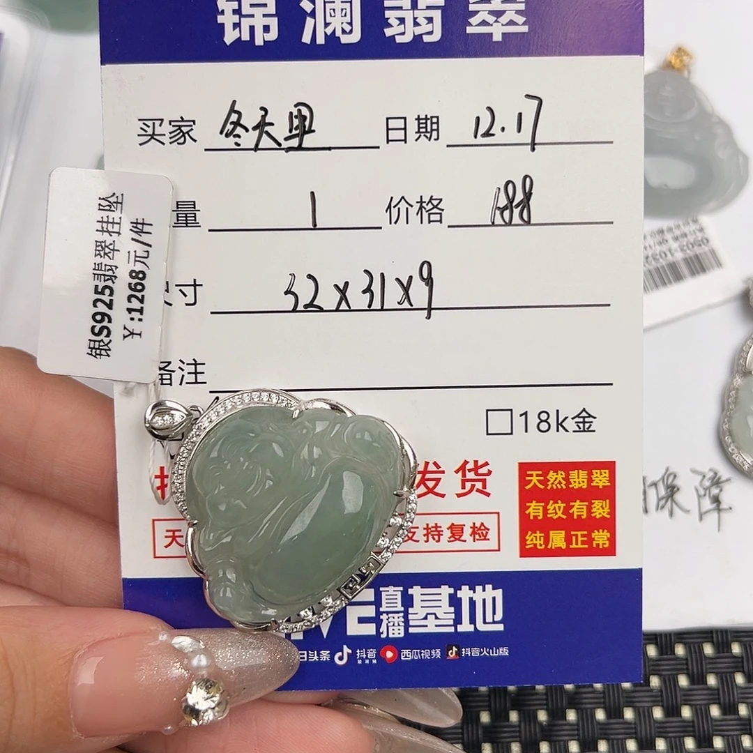 冬***光翡翠银S925镶嵌颈饰