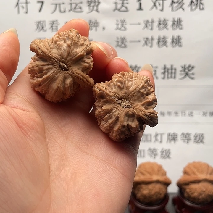 吊坠文玩核桃白狮子