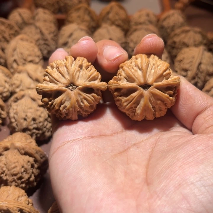 胖***儿核桃手串/手链天地园38尺寸