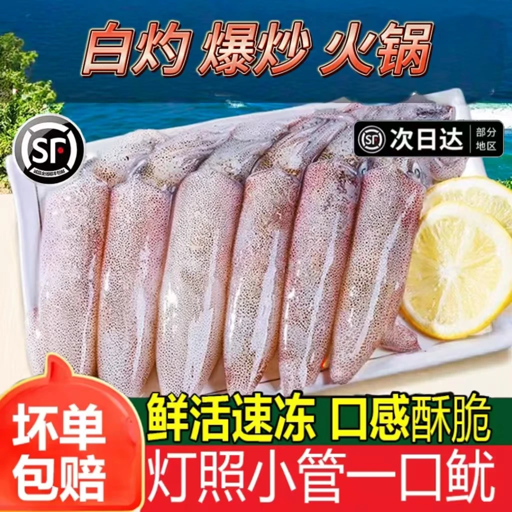 小管鱿鱼白灼鱿鱼新鲜冷冻大鱿鱼大笔管鱼小乌贼海鲜水产鲜活生鲜