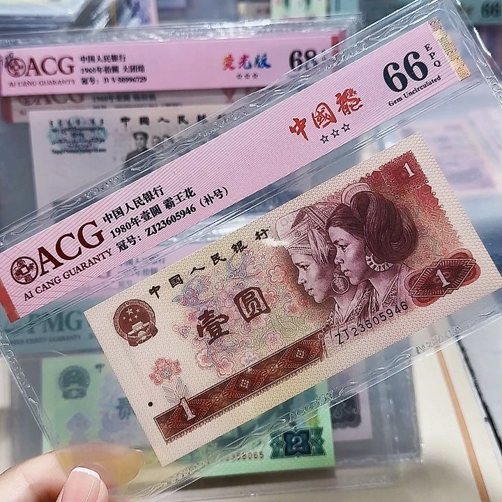 23605946。。。。。。中国龙补