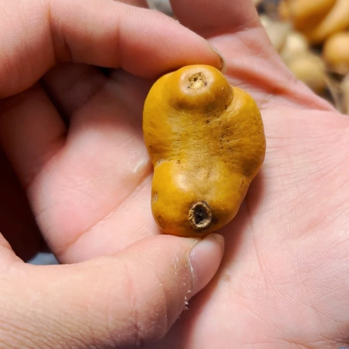 *️****8888888888888888888