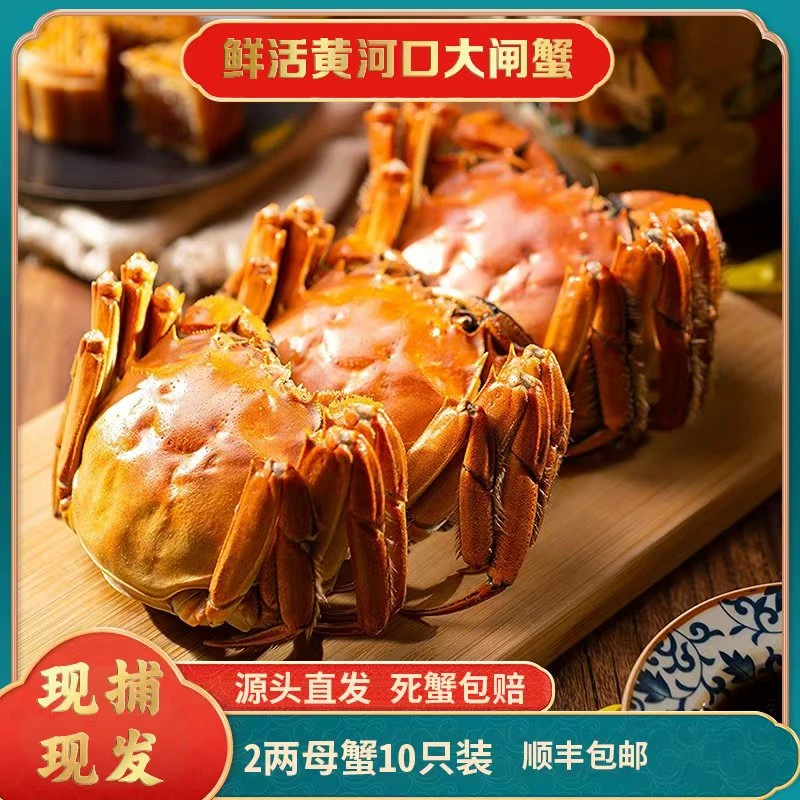 【活蟹】大闸蟹母蟹2.0两10只装