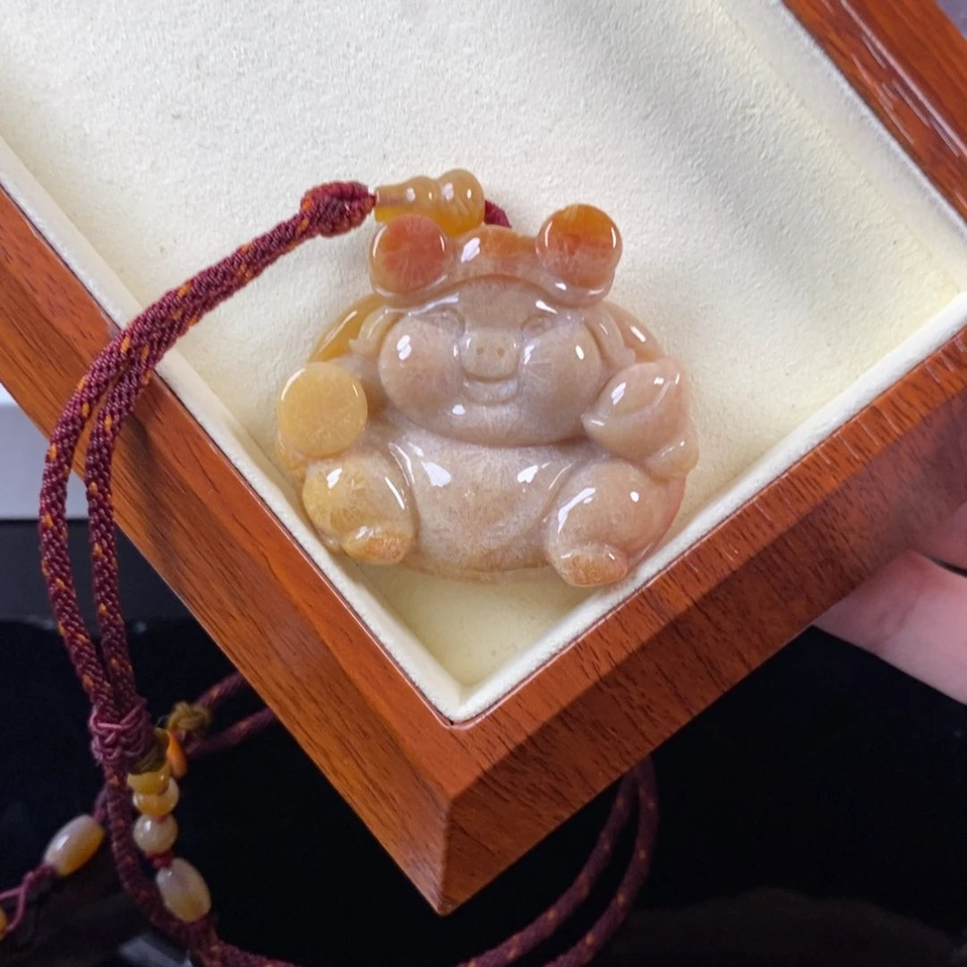硅化珊瑚（珊瑚玉）未镶嵌颈饰99