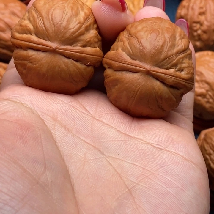 把件文玩核桃精品至尊宝