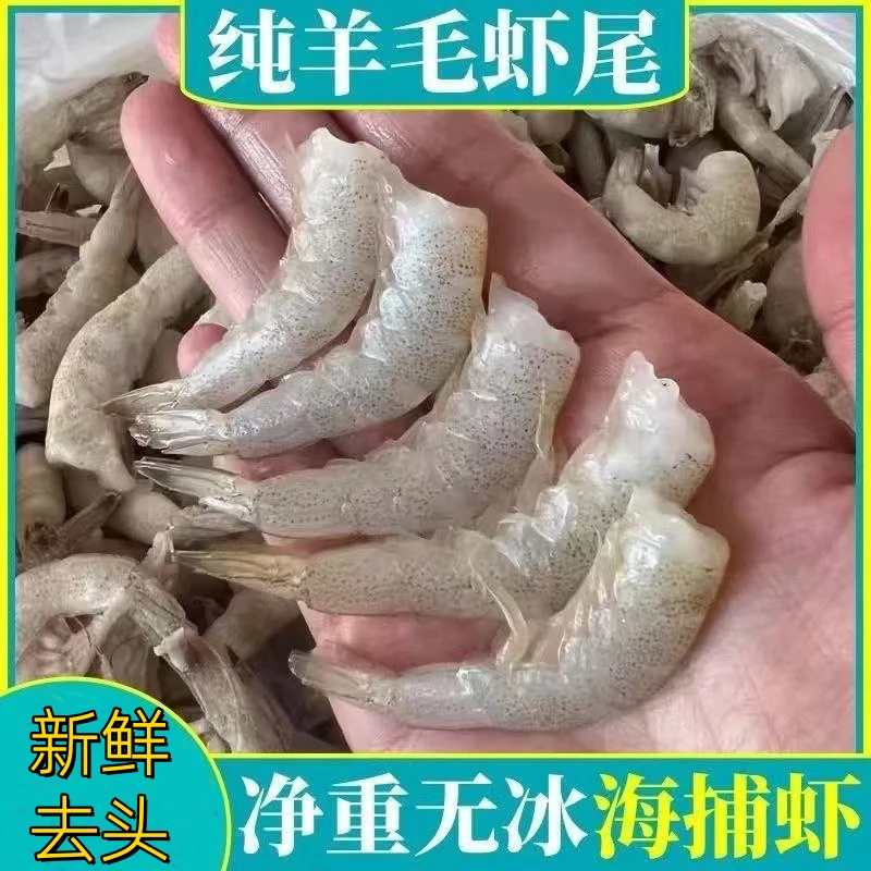 野生羊毛虾虾尾新鲜速冻去头