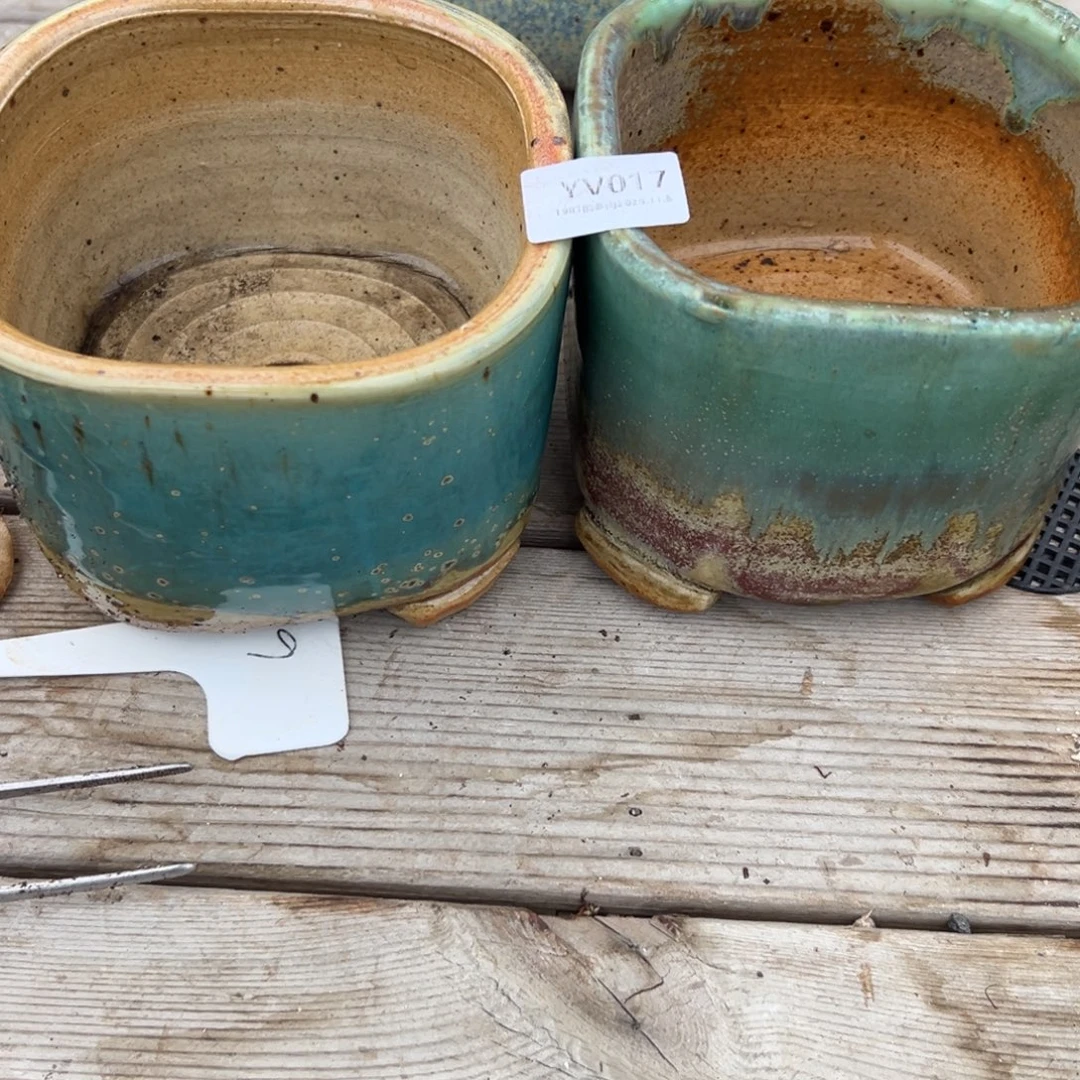 摘****1987花盆yv17盆盆