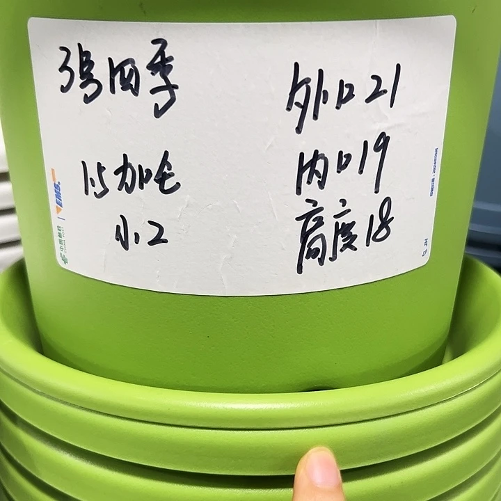 特价3号口21高18白色10只无托