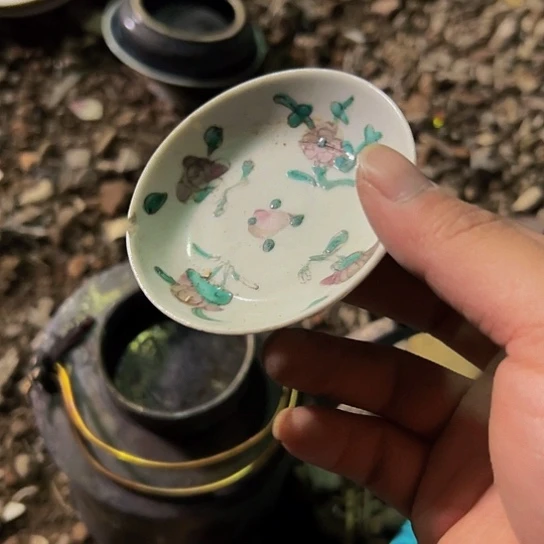 阳***道杂色豆（科檀/科特迪瓦檀木）