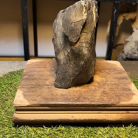 红陶灵璧石花盆老桩盆