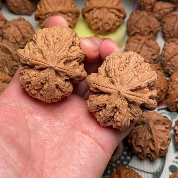 木质粗筋43全品，54克