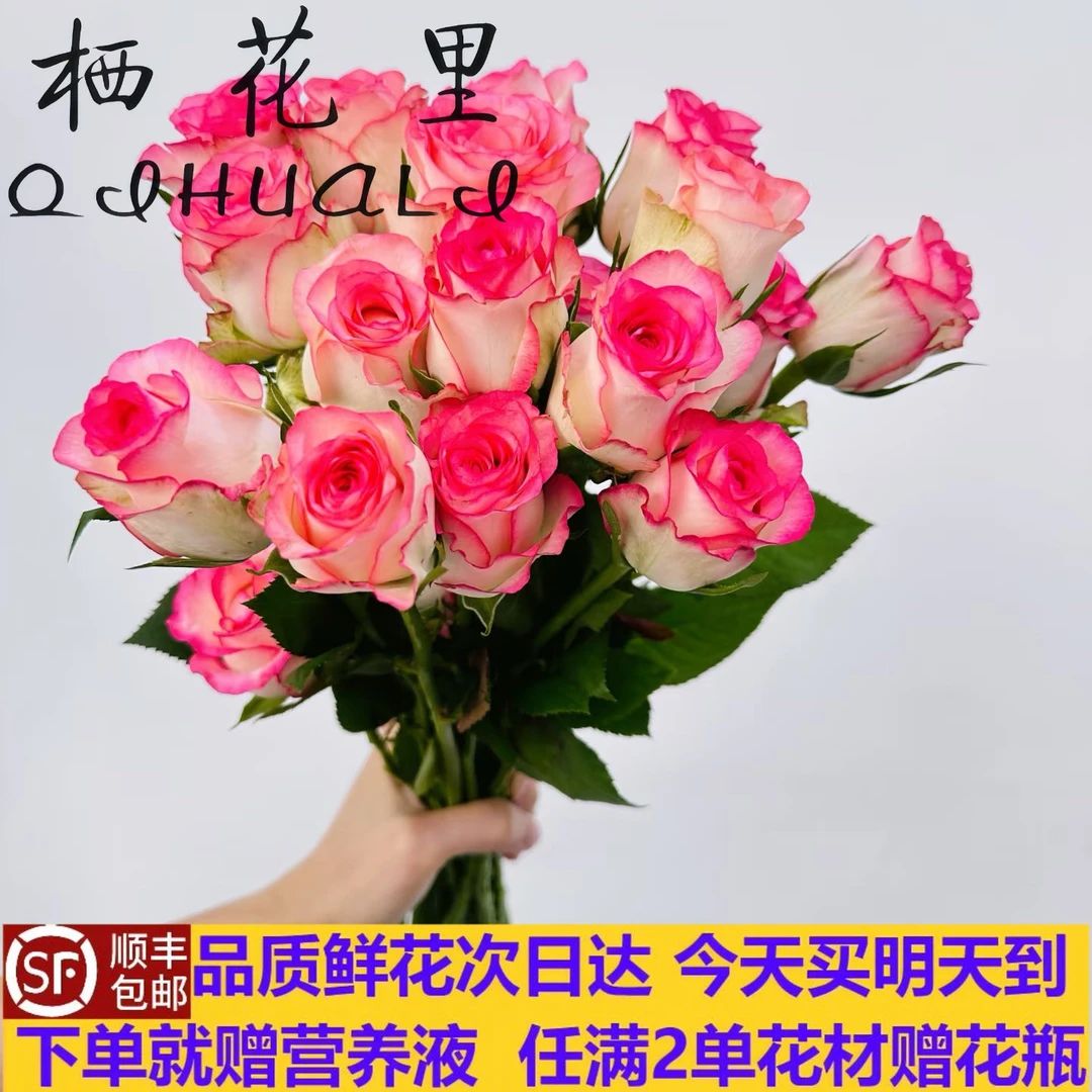 B级艾莎玫瑰10支新鲜直达云南鲜花顺丰次日达鲜花花束今天买 明天顺丰包邮送花上门任意两单赠花瓶