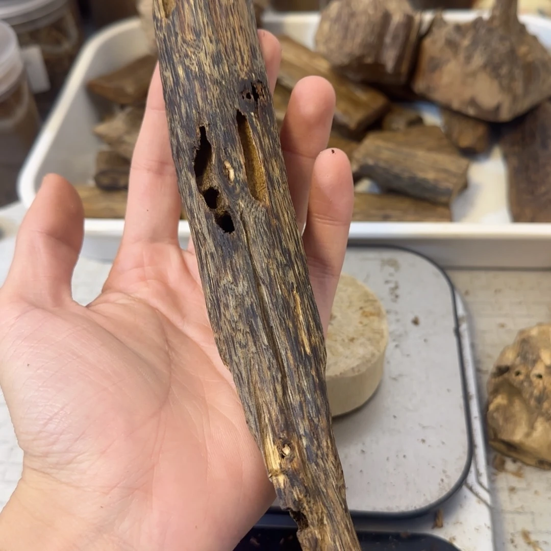 沉香沉香碎屑陆河49