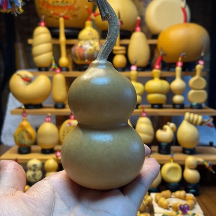 *****天然葫芦自然生长