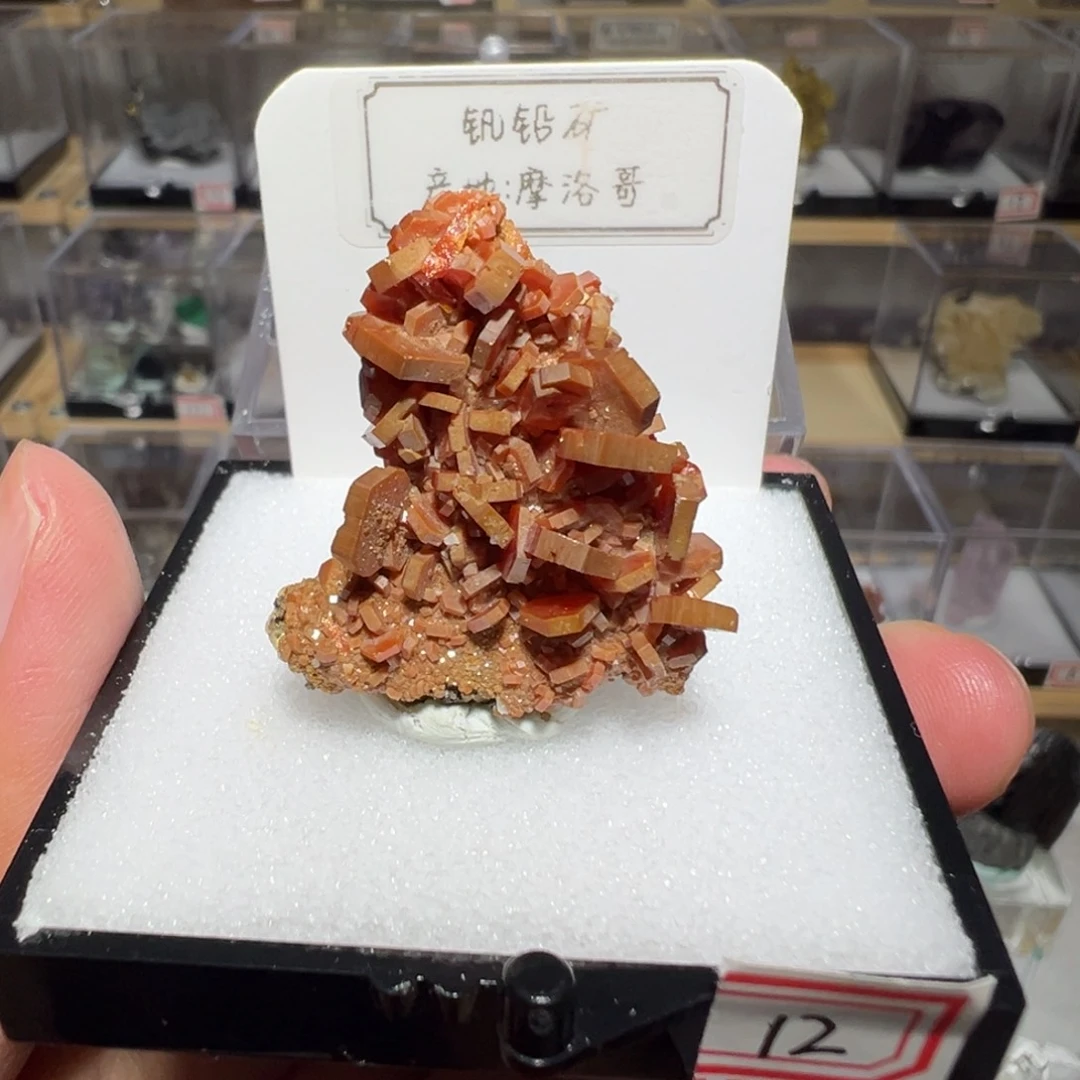 银S925镶嵌紫晶大型摆件（非配饰）
