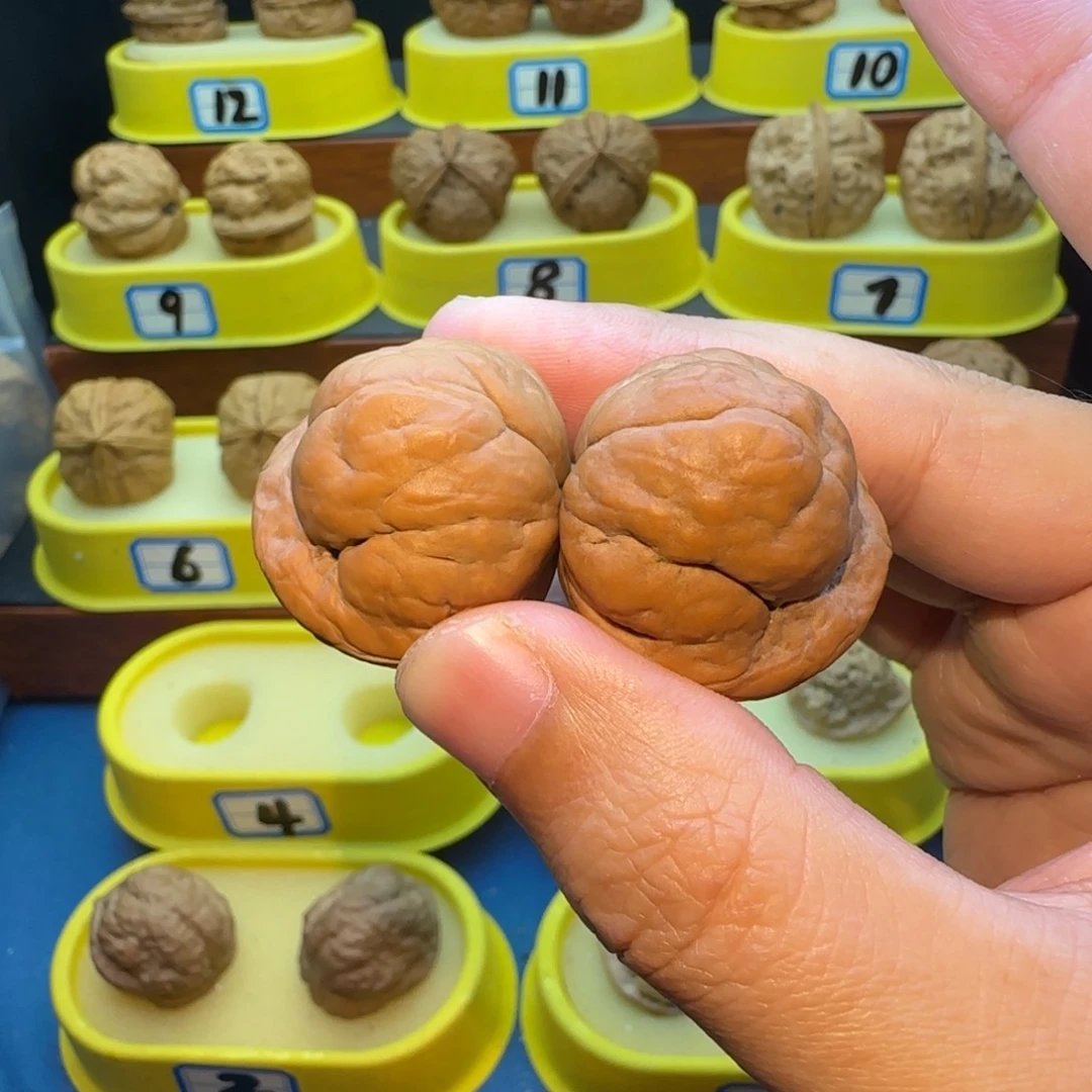 口***鸡桃核把件金刚鹦蟾