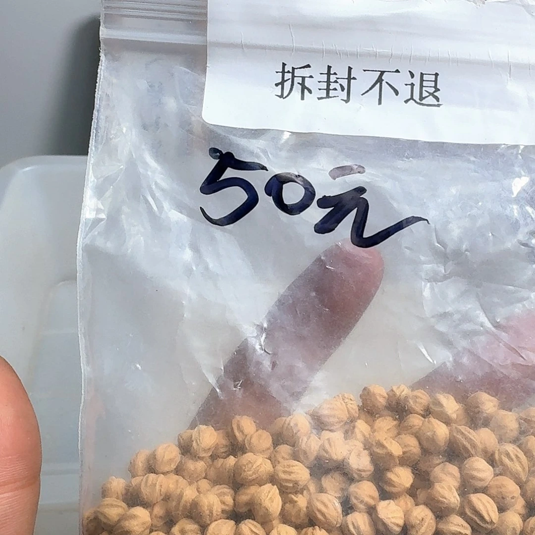 旧***刀柏香籽/百香籽吊坠