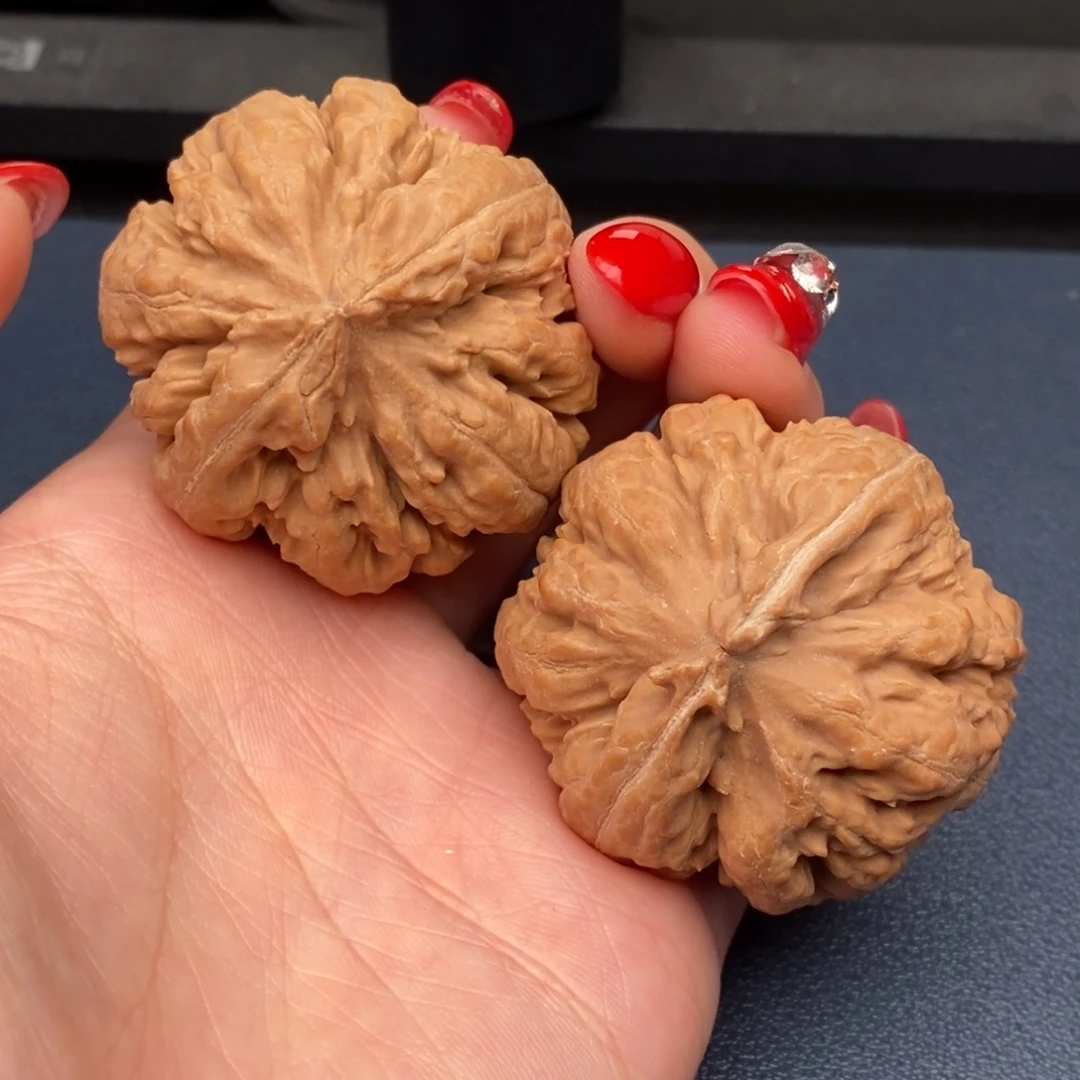 无***在文玩核桃吊坠霸王龙