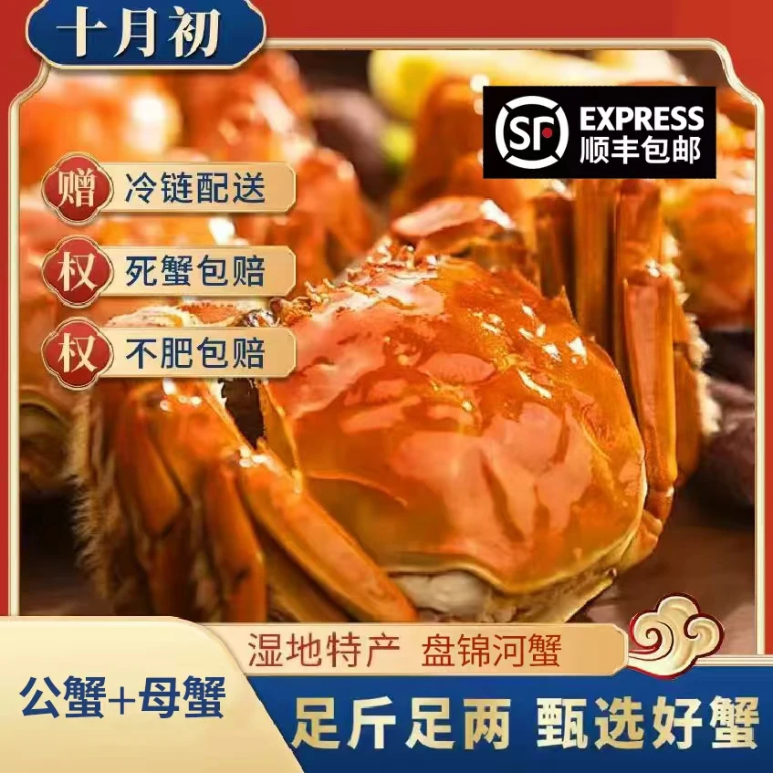【活蟹】盘锦河蟹 母蟹（1.7-1.4两/只）+公蟹（1.7-2两/只）共2/3斤