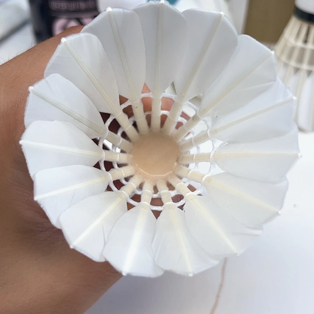 无标鸭全圆全羽12只74速