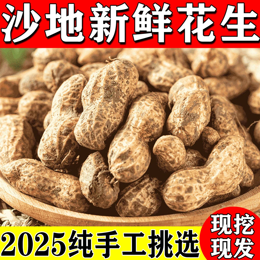2025年新鲜带泥带壳湿花生新鲜沙地薄皮生花生人工精选现挖现卖