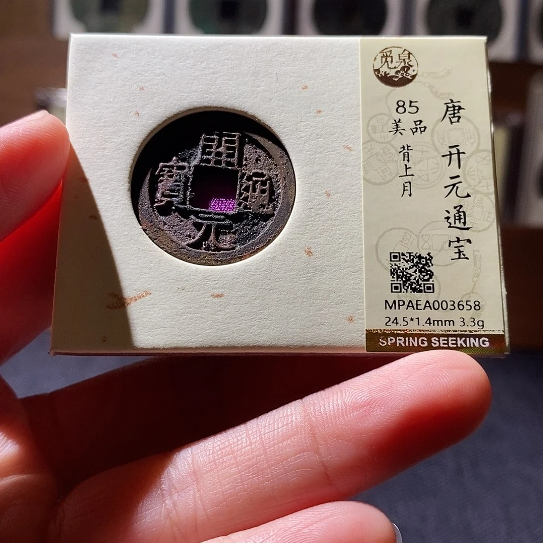 贝壳19 恭喜发财恭喜发财
