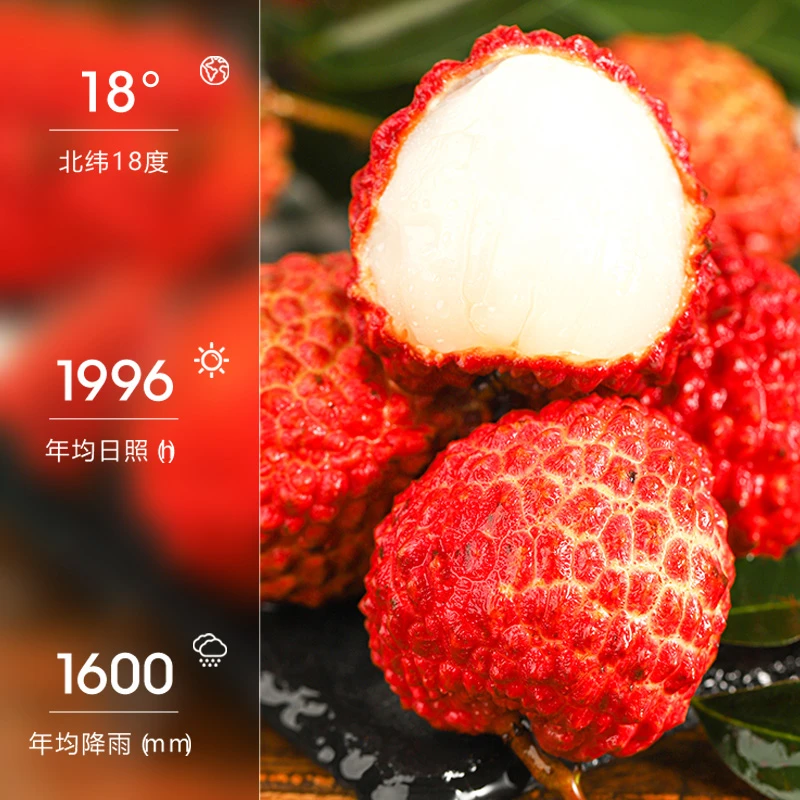 【顺丰】老树荔枝白糖罂香甜多汁