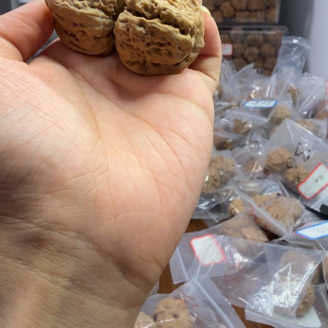 核桃手串/手链F****M三面开背