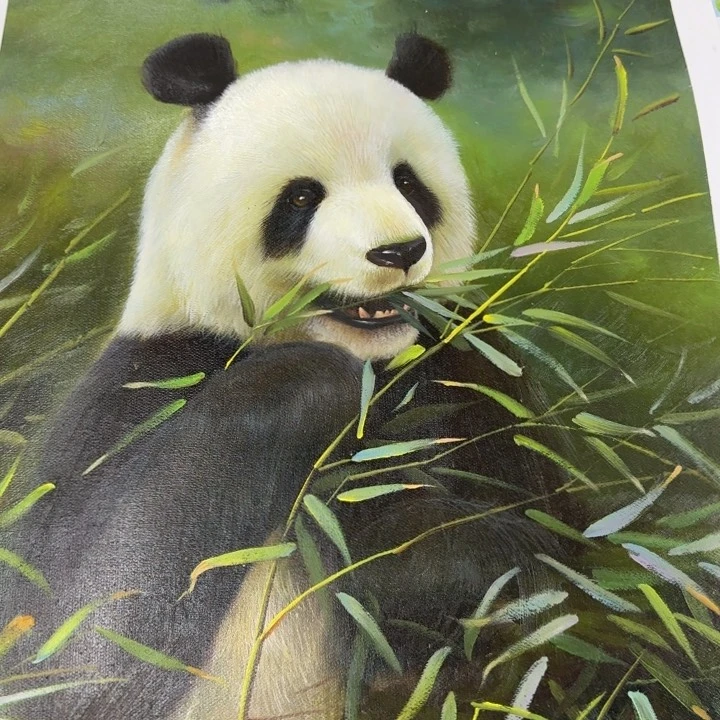 油画照****彩好想去看看这个节目