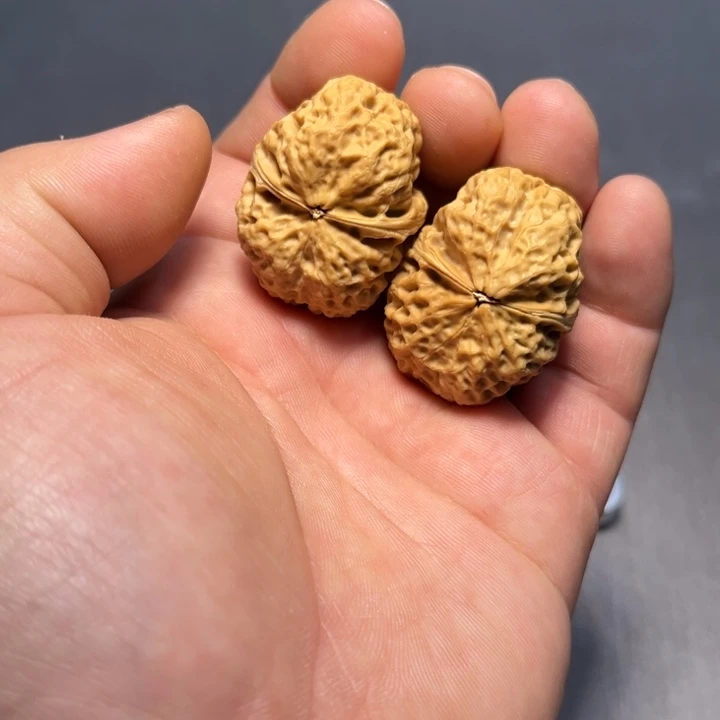 文玩核桃把件元宝257