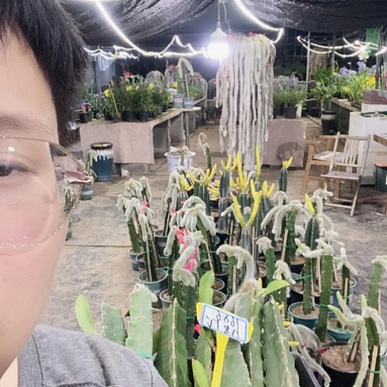 悠***心1686脱土发货无售后