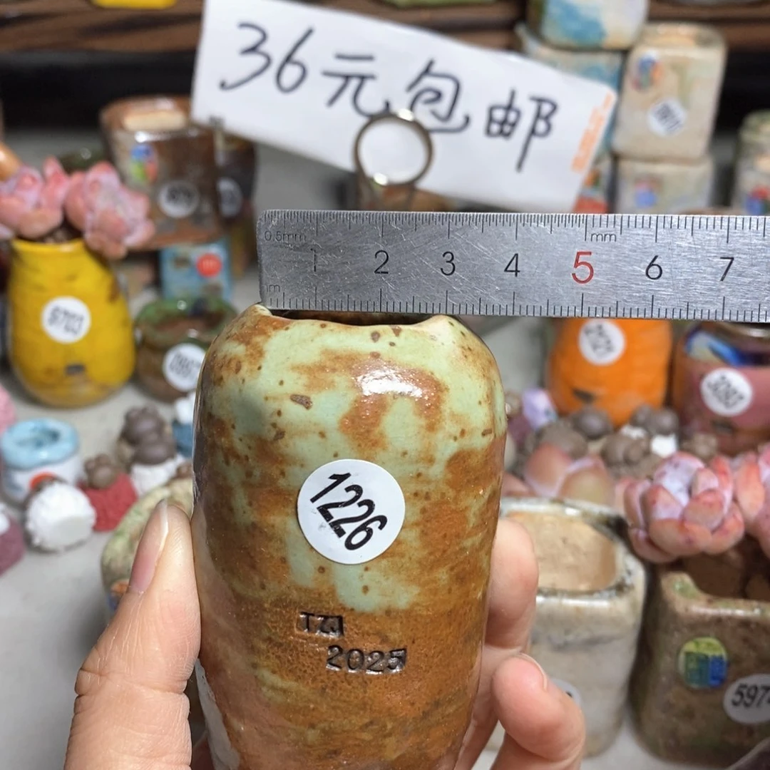 处理的，不退不换