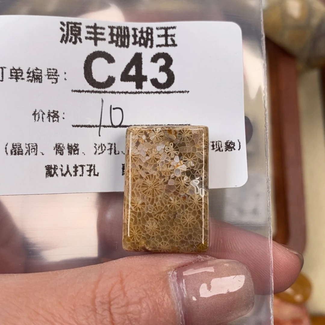 硅化玉颈饰未镶嵌ㅤ****雨