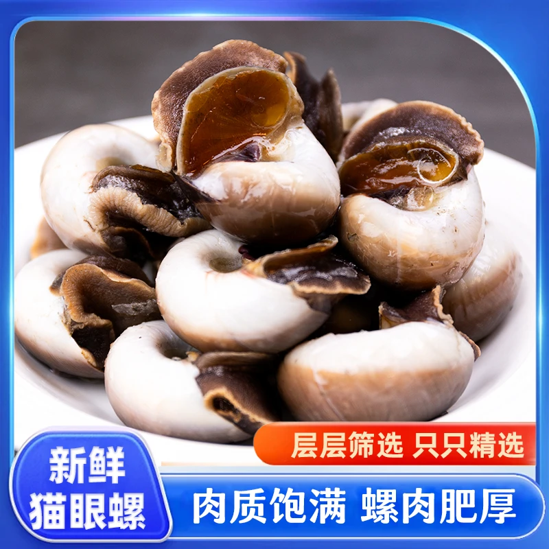 丹东东港本地香螺猫眼螺扁玉螺少量泥沙五斤装冻品