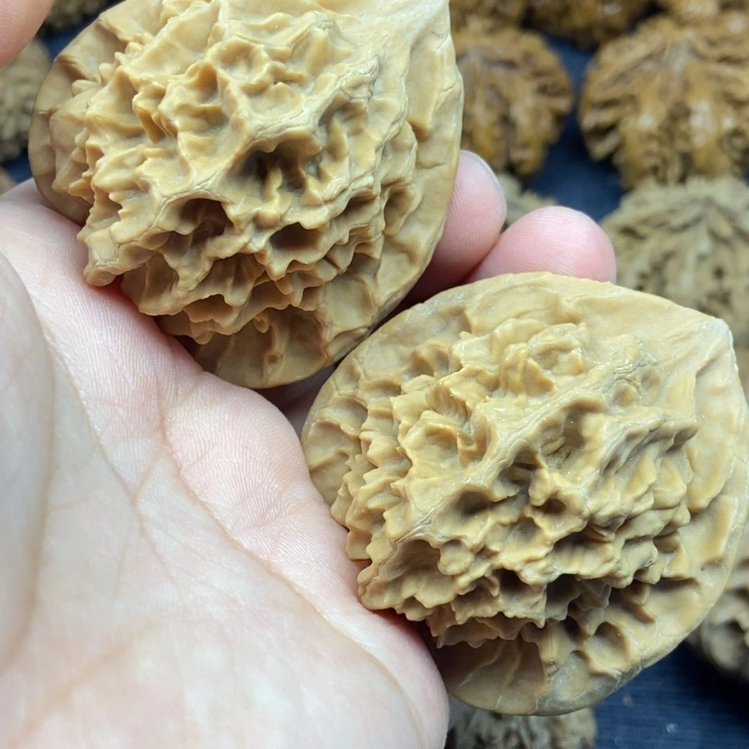 秦岭核桃帝王大花3号链接33333