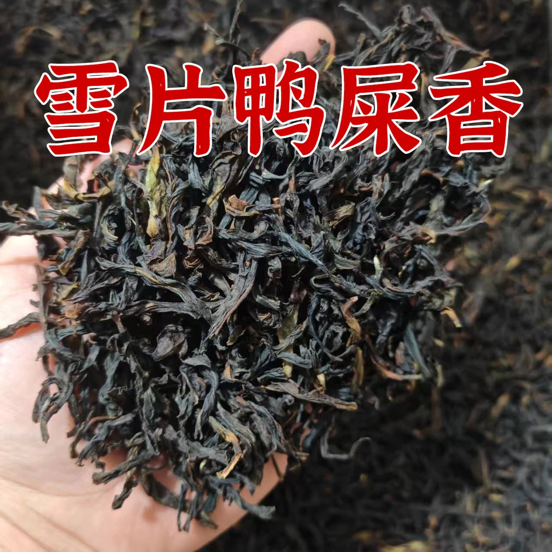 五斗峰正宗凤凰单丛茶雪片鸭屎香清香型凤凰单枞工夫茶乌龙茶罐装