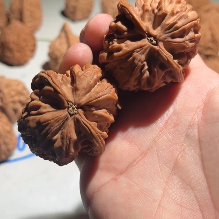 蒋***宝文玩核桃吊坠凤凰台