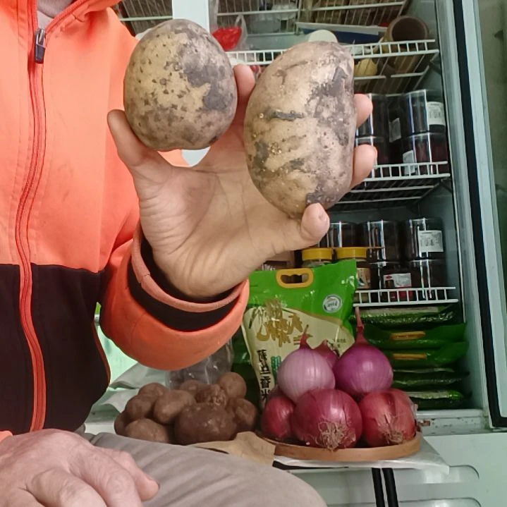 中国大陆白皮土豆农家自种