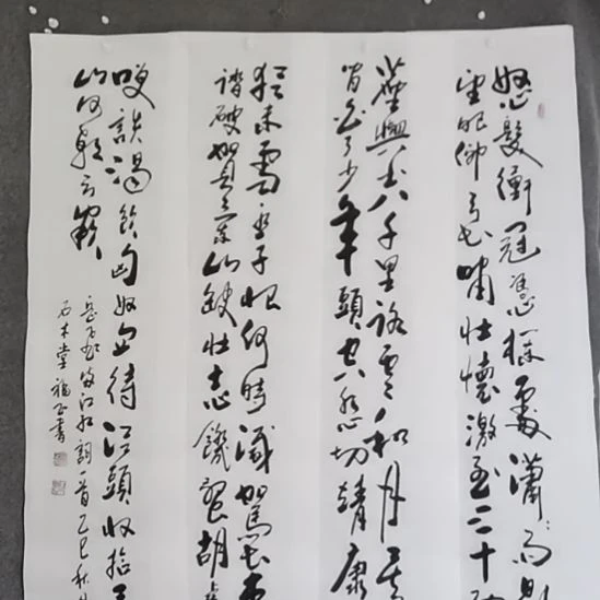 子***藤书法书书屋书法作品