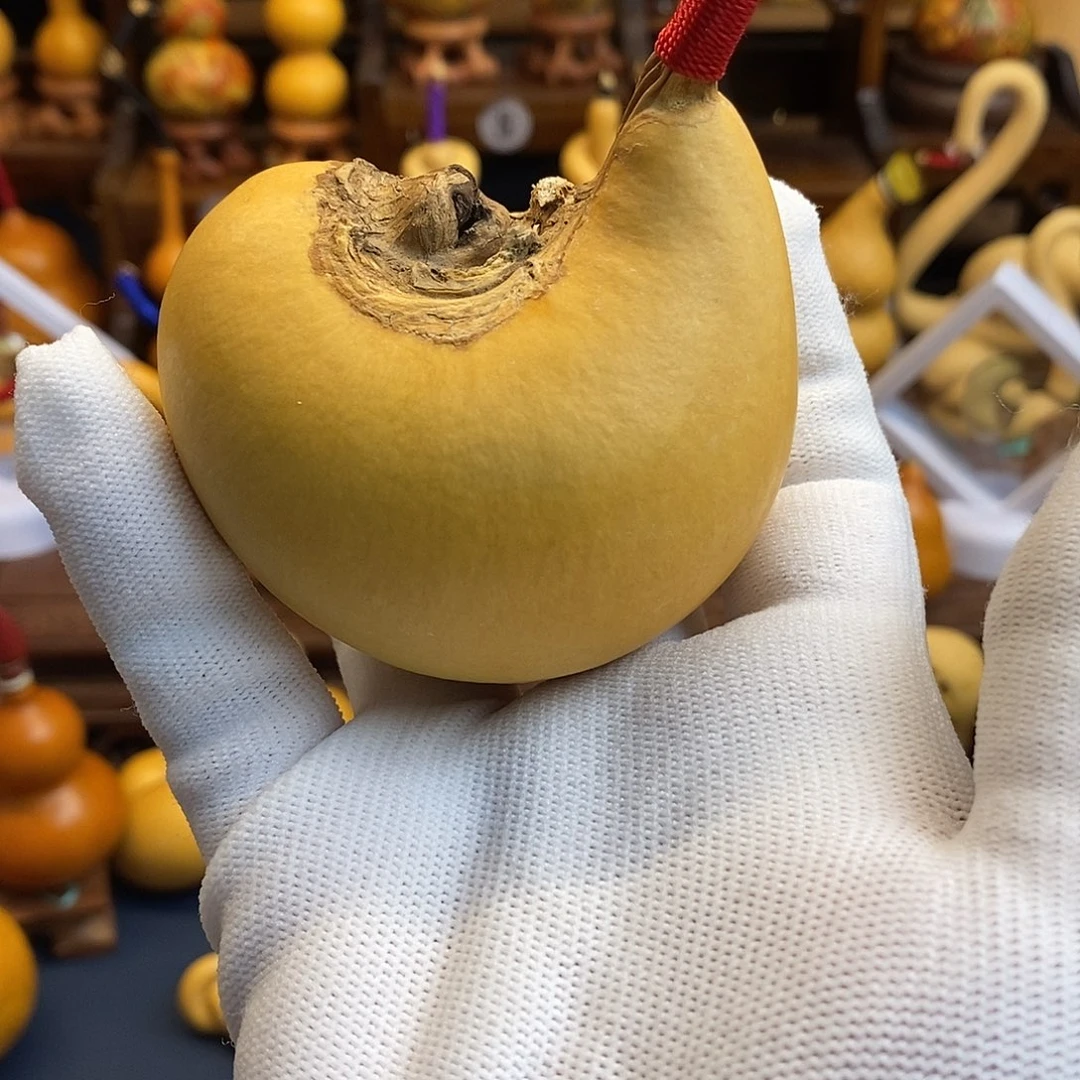 东***就文玩葫芦文玩，文玩葫芦