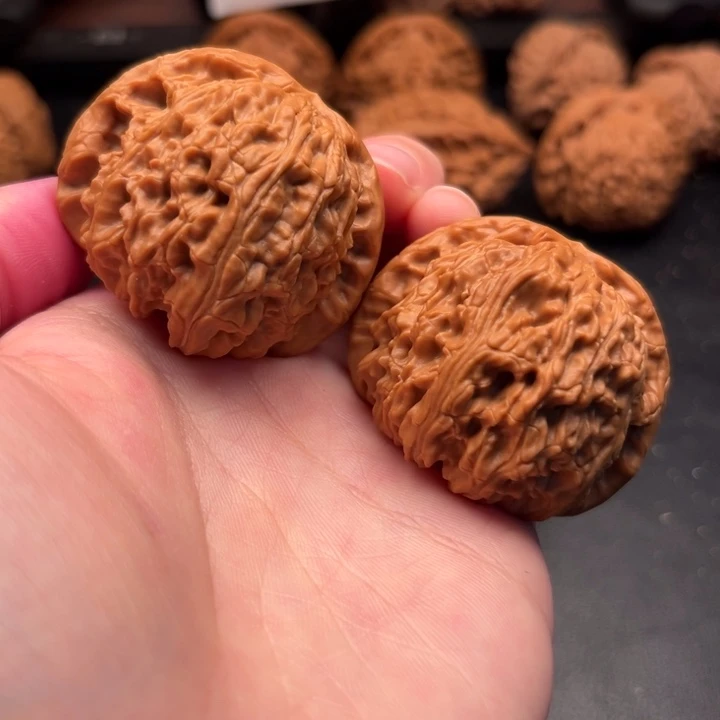 文玩核桃把件2930白狮子43