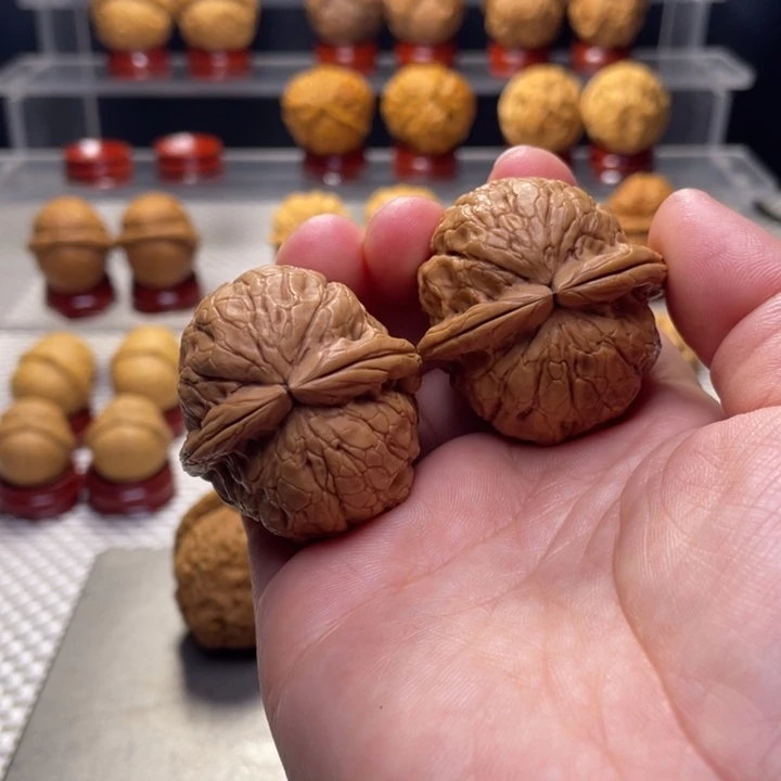 文玩核桃把件简*9金龟玉甲