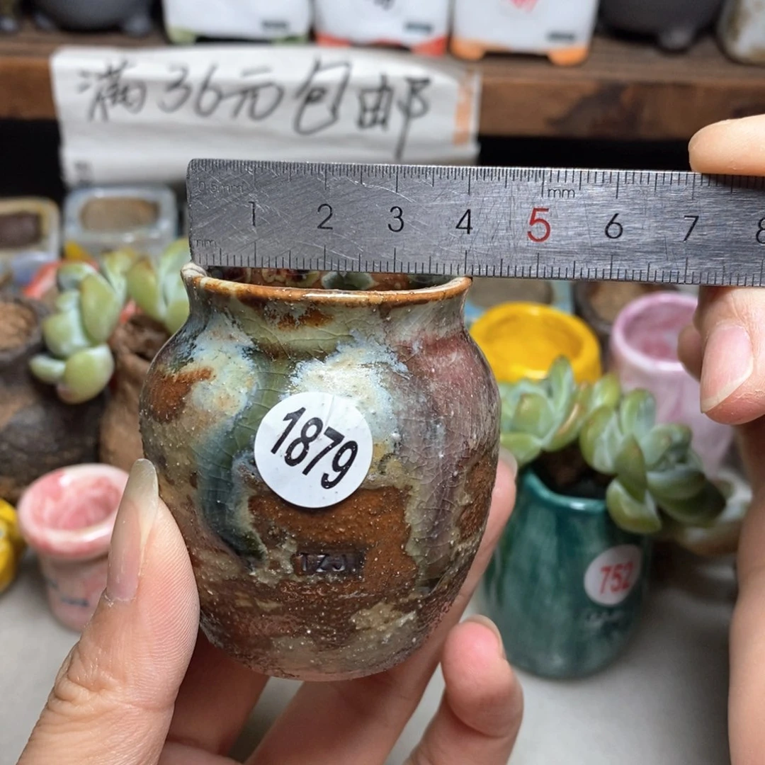 拍5送一个小礼物
