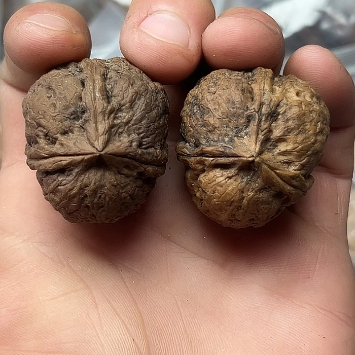 核桃57号鱼籽纹闷筋三楞35尺