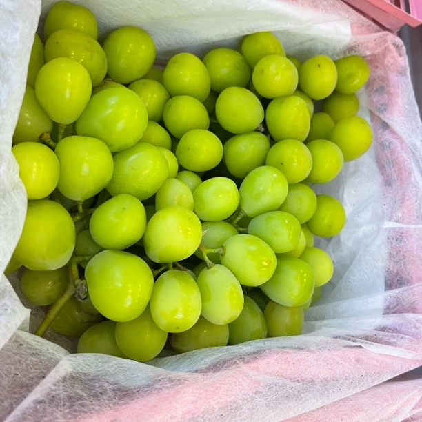 硬实的晴王葡萄一箱毛重三斤半左右云南省