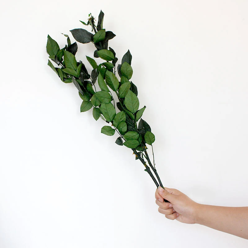 【玫瑰花杆】云南厂家直销小王子制作插花亚叶子永生玫瑰枝