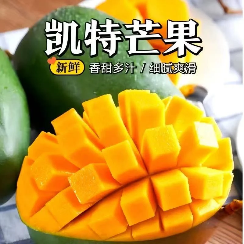 （放软食用）正宗四川攀枝花凯特芒果新鲜采摘多汁发货老人小孩