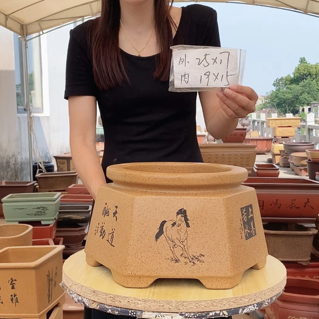 紫砂花盆紫砂花盆