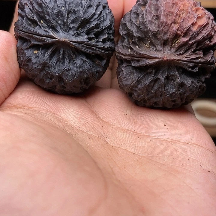 文玩核桃吊坠麒麟王绣球